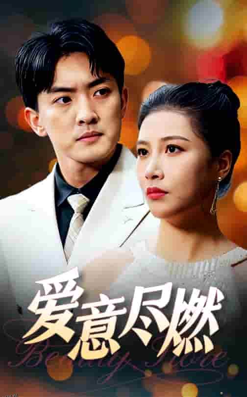 爱意尽燃 海报