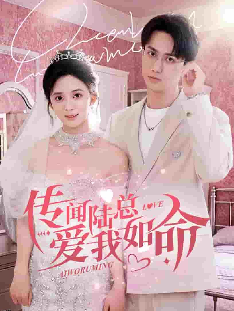 传闻陆总爱我如命 海报