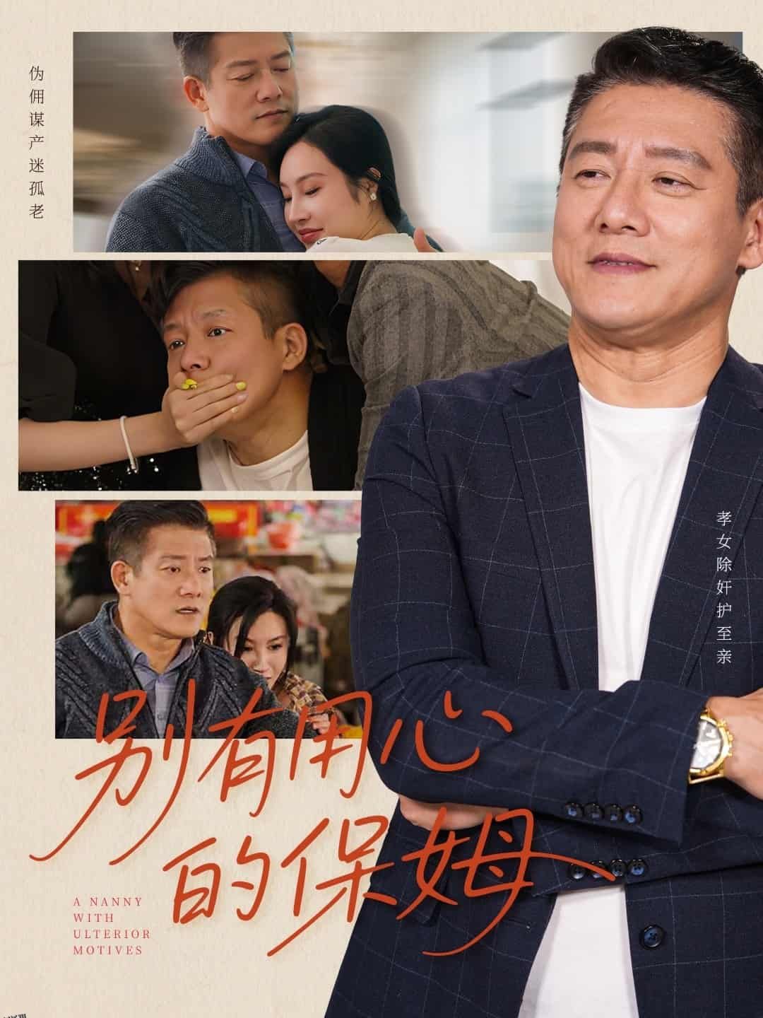 别有用心的保姆 海报