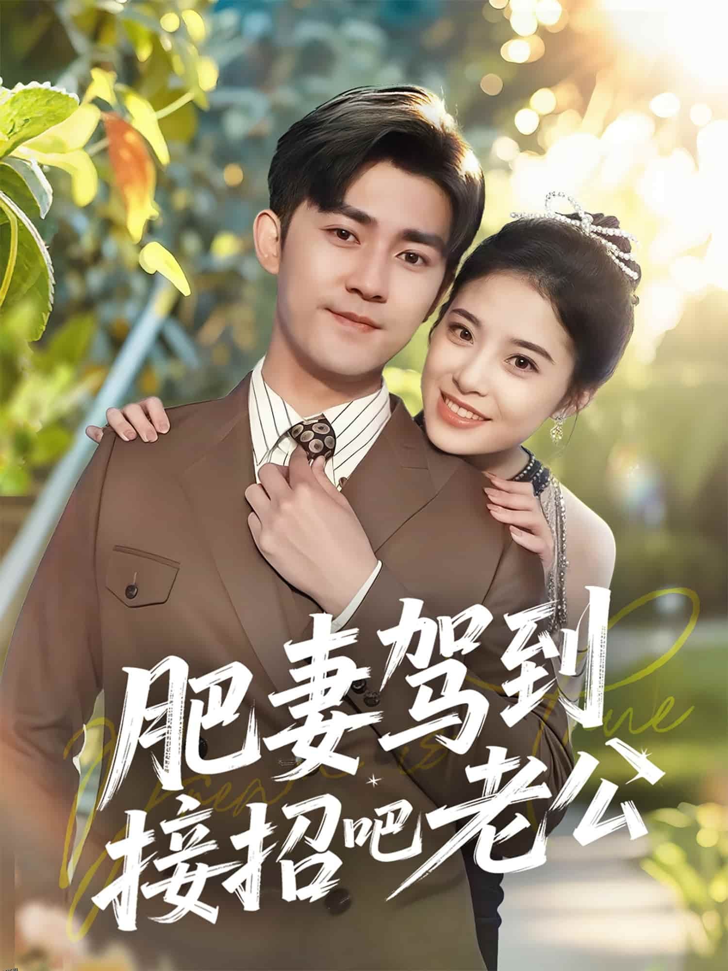 肥妻驾到接招吧老公 海报