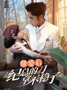 懂爱后纪总的刀拿不稳了 海报