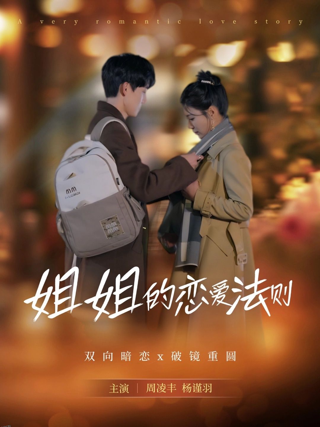 姐姐的恋爱法则 海报