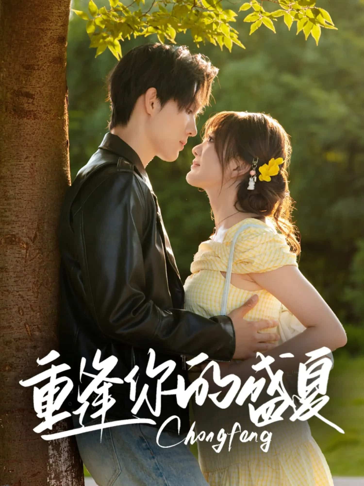 重逢你的盛夏 海报