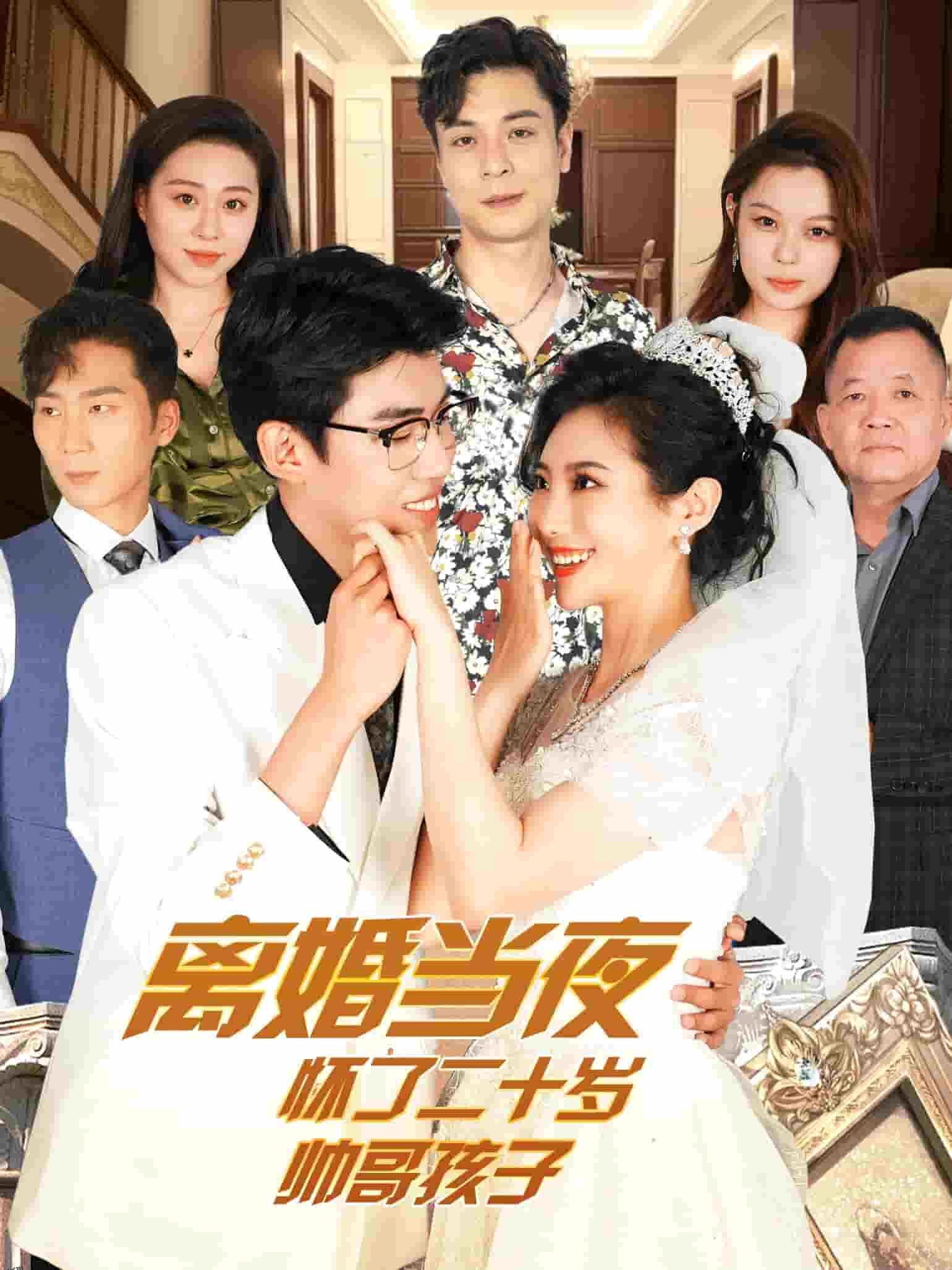 离婚当夜怀了二十岁帅哥 海报