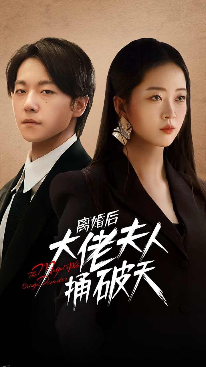离婚后大佬夫人捅破天 海报