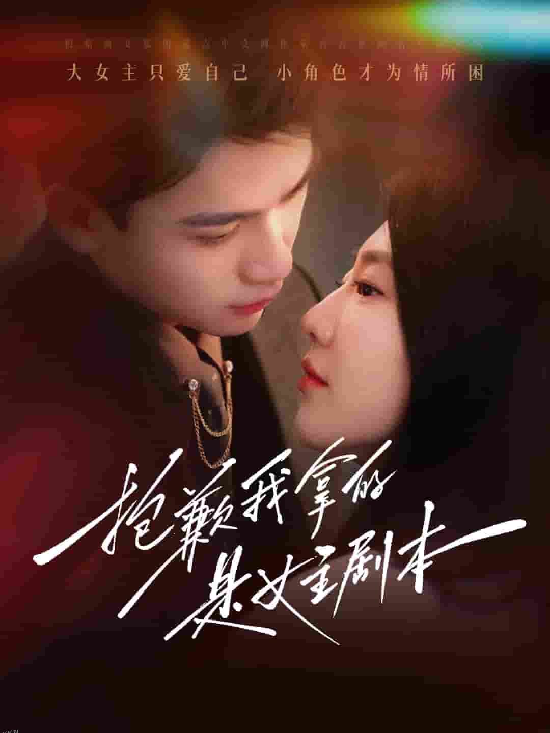 抱歉我拿的是女主剧本 海报