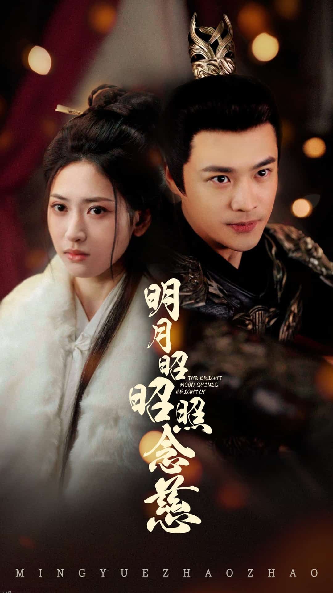 明月昭昭照念慈 海报