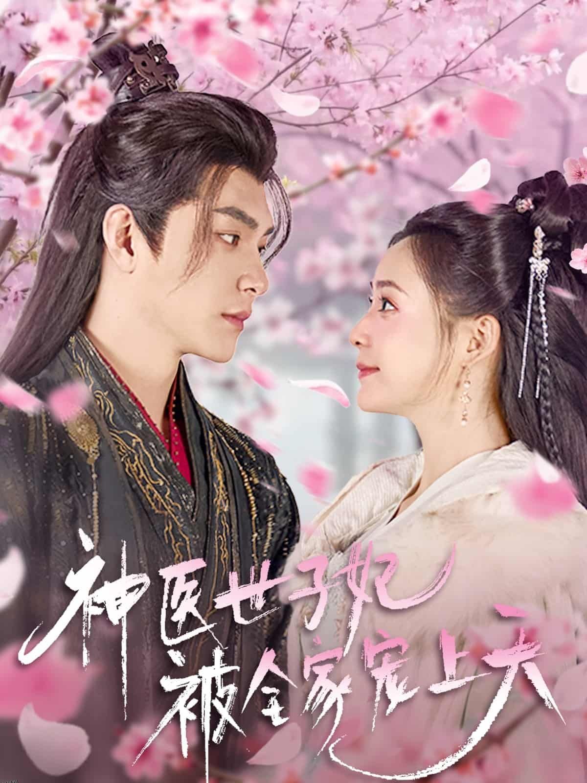 神医世子妃被全家宠上天 海报
