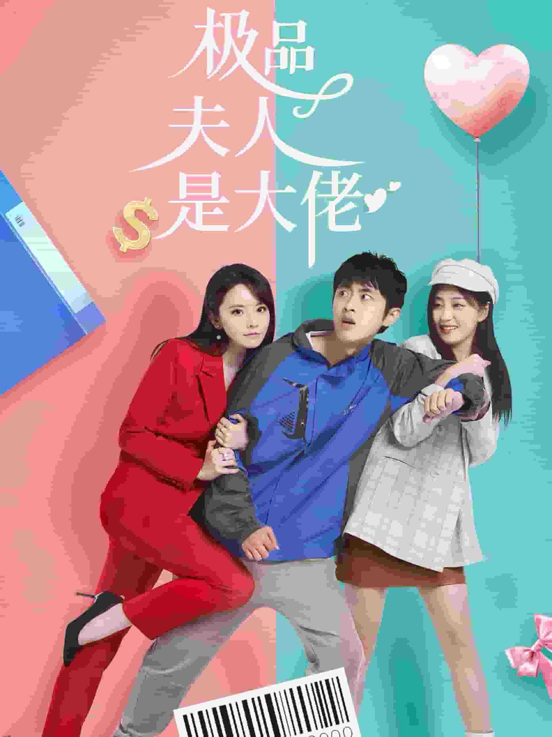 极品夫人是大佬 高清海报