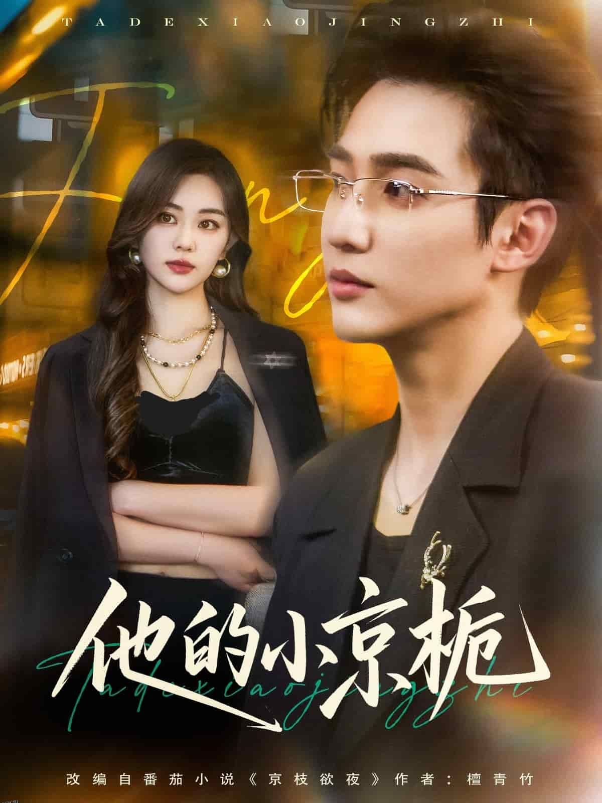 他的小京栀 海报