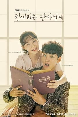 致亲爱的法官大人 海报