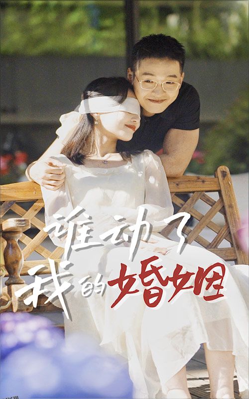 谁动了我的婚姻 海报