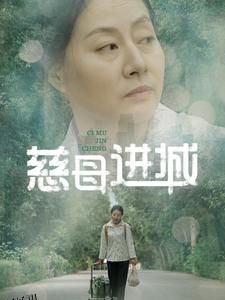慈母进城 高清海报