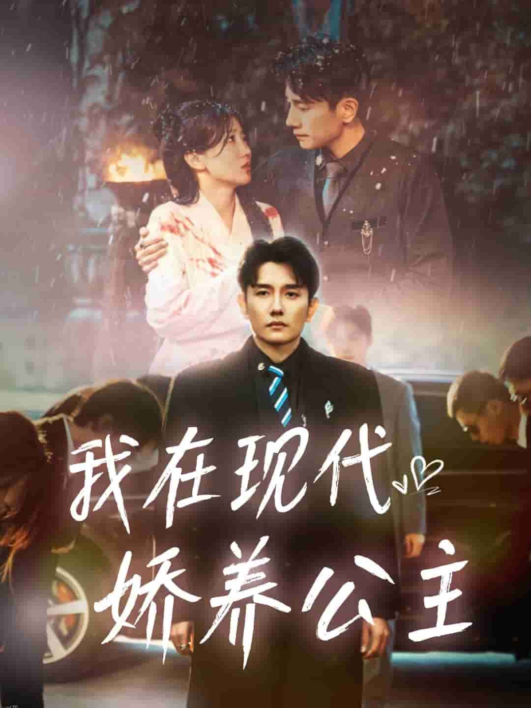 我在现代娇养公主 海报