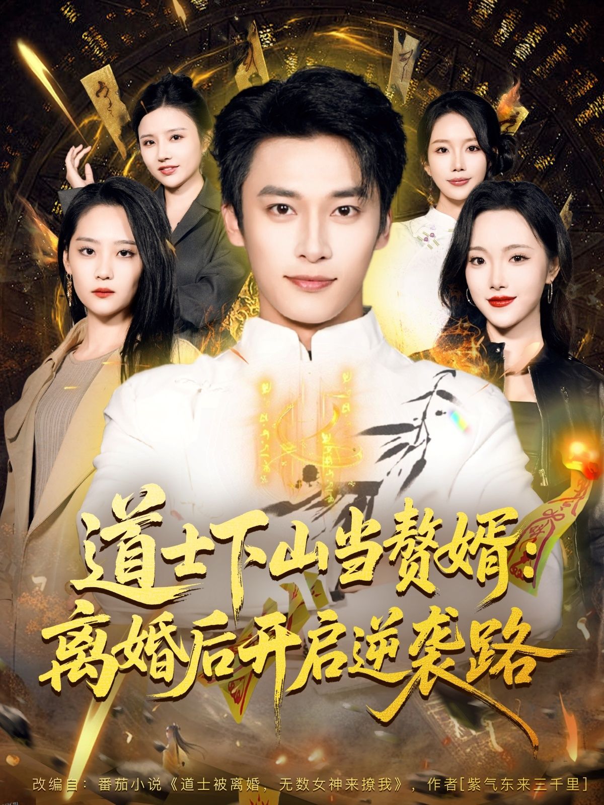 道士下山当赘婿：离婚后开启逆袭路 海报