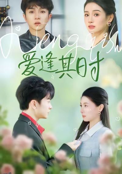 爱逢其时 海报