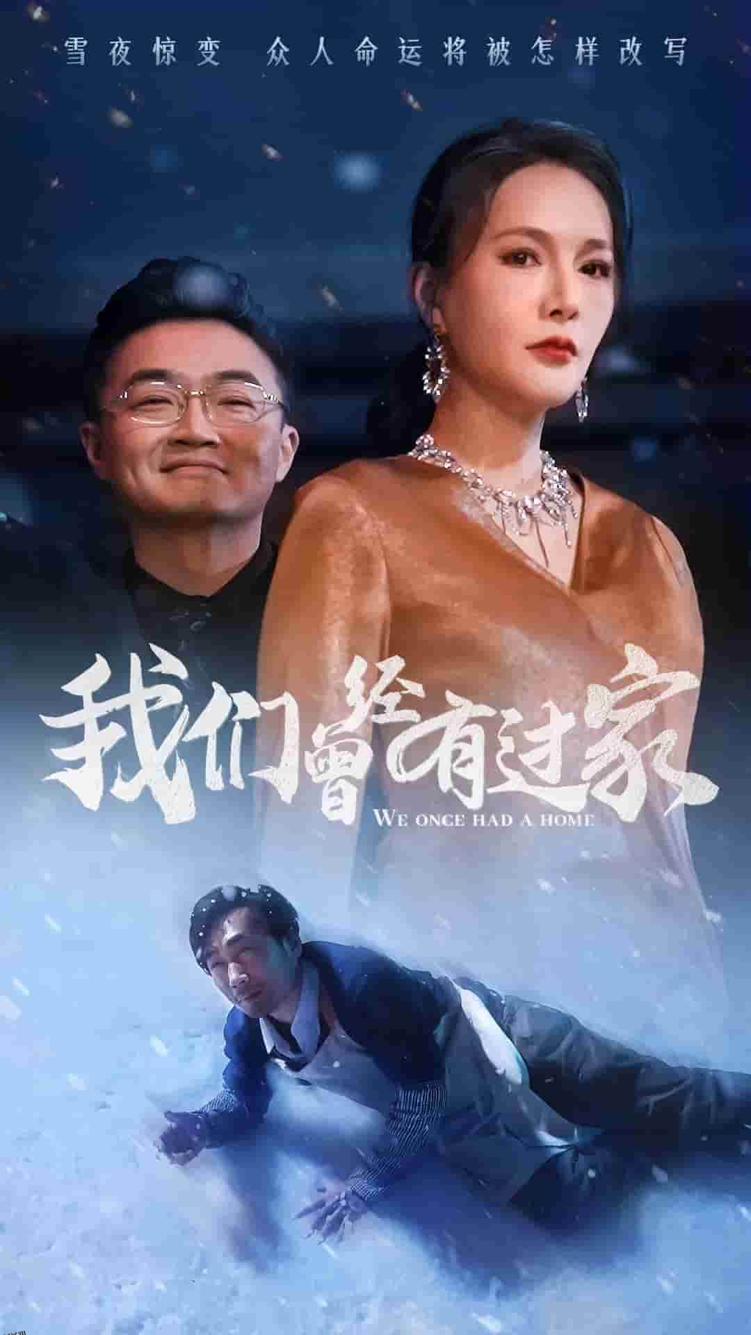 我们曾经有过家 高清海报