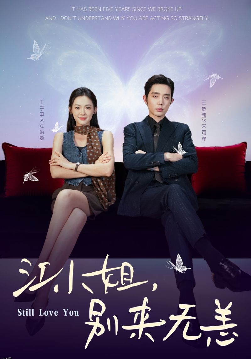 江小姐，别来无恙 海报