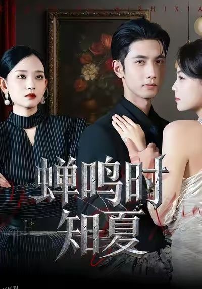 蝉鸣时知夏 海报