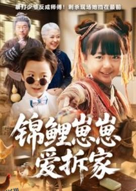 锦鲤崽崽爱拆家 海报