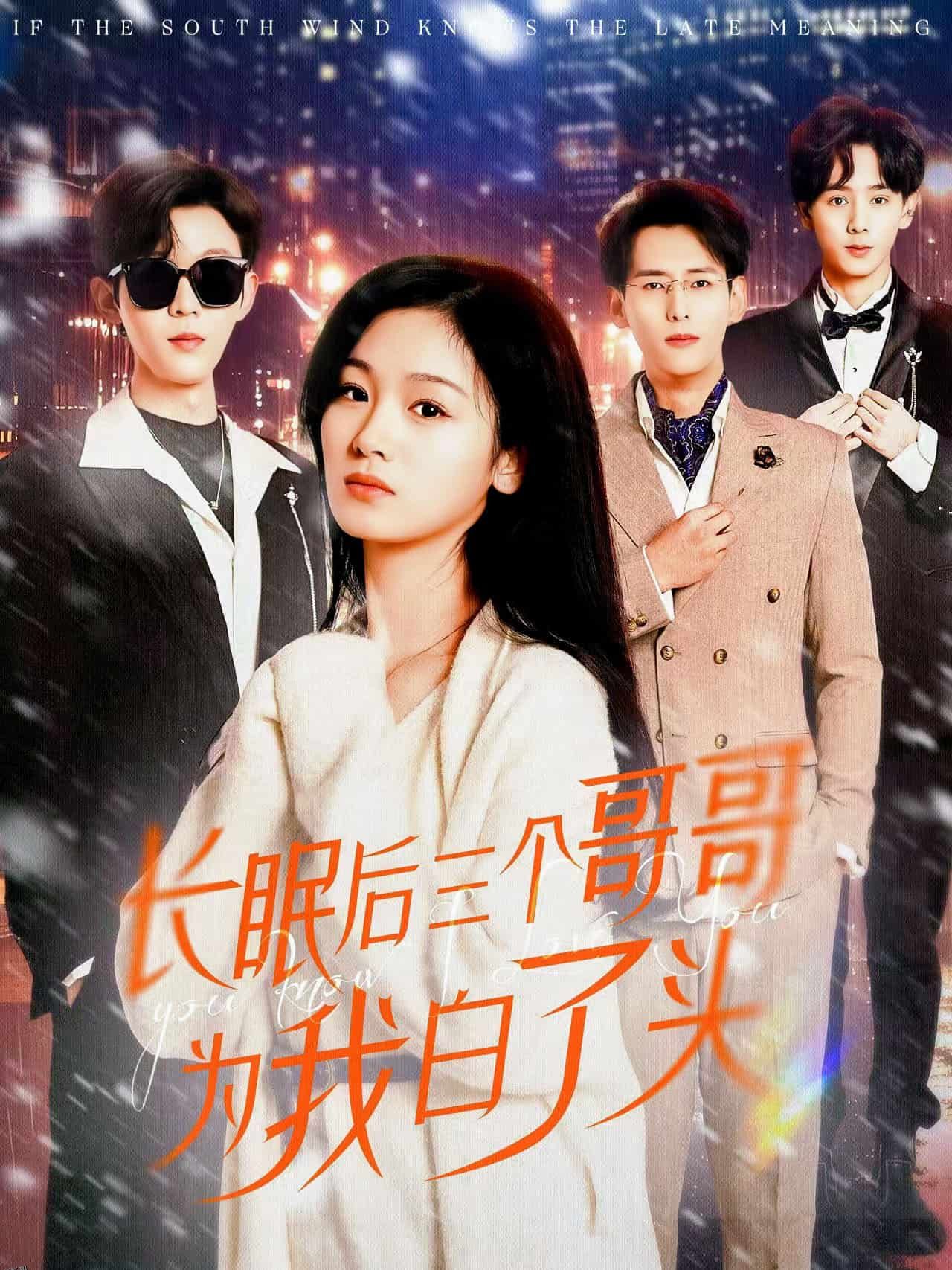 长眠后三个哥哥为我白了头 海报