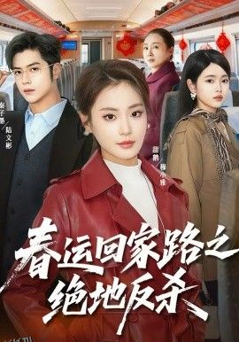 春运回家路之绝地反杀 海报