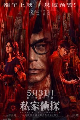 私家侦探 海报