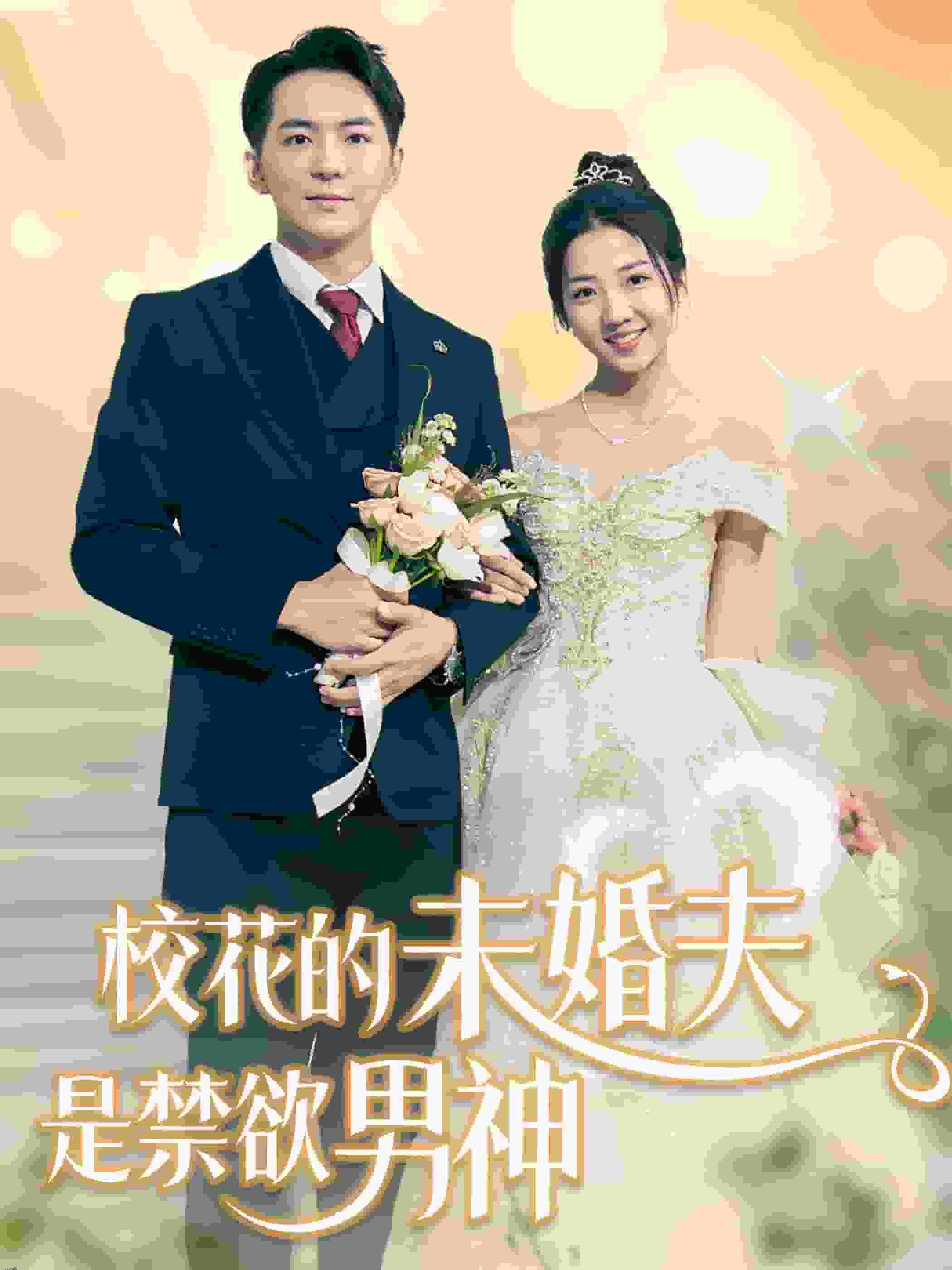 校花的未婚夫是禁欲男神 海报