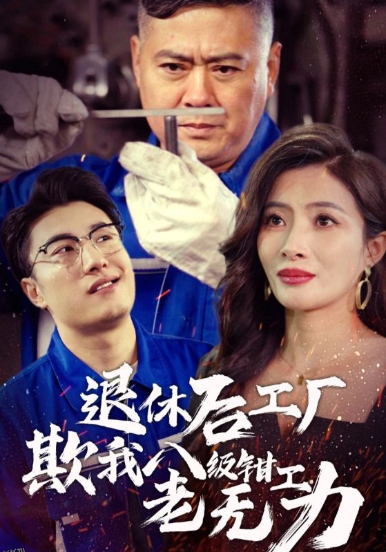 退休后工厂欺我八级钳工老无力 海报