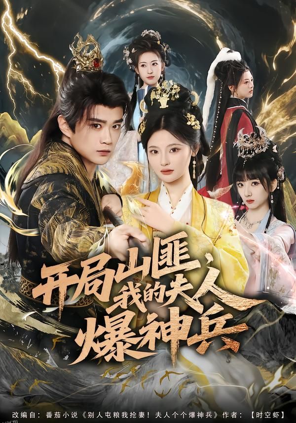 开局山匪，我的夫人爆神兵 海报