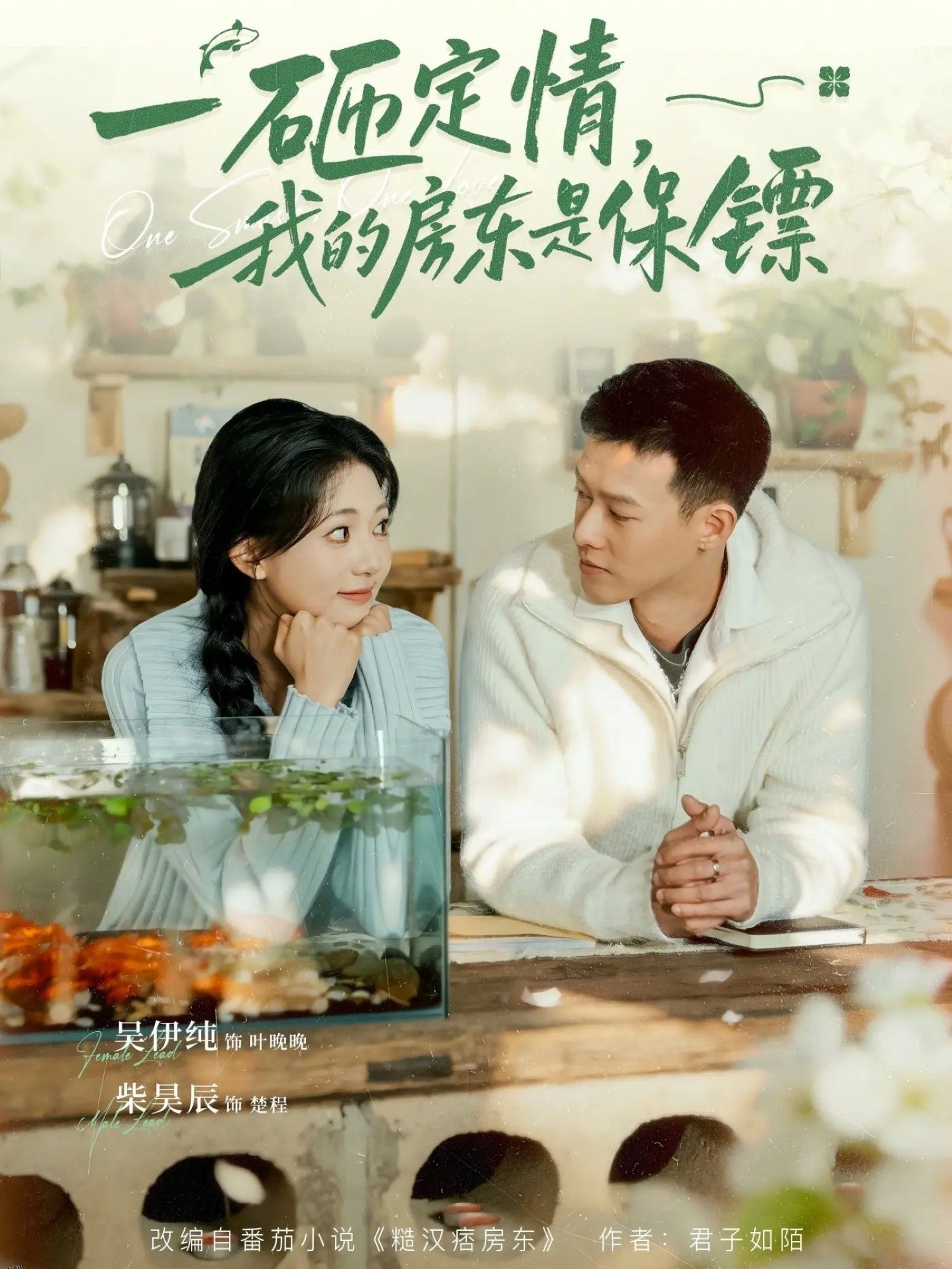 一砸定情，我的房东是保镖 海报