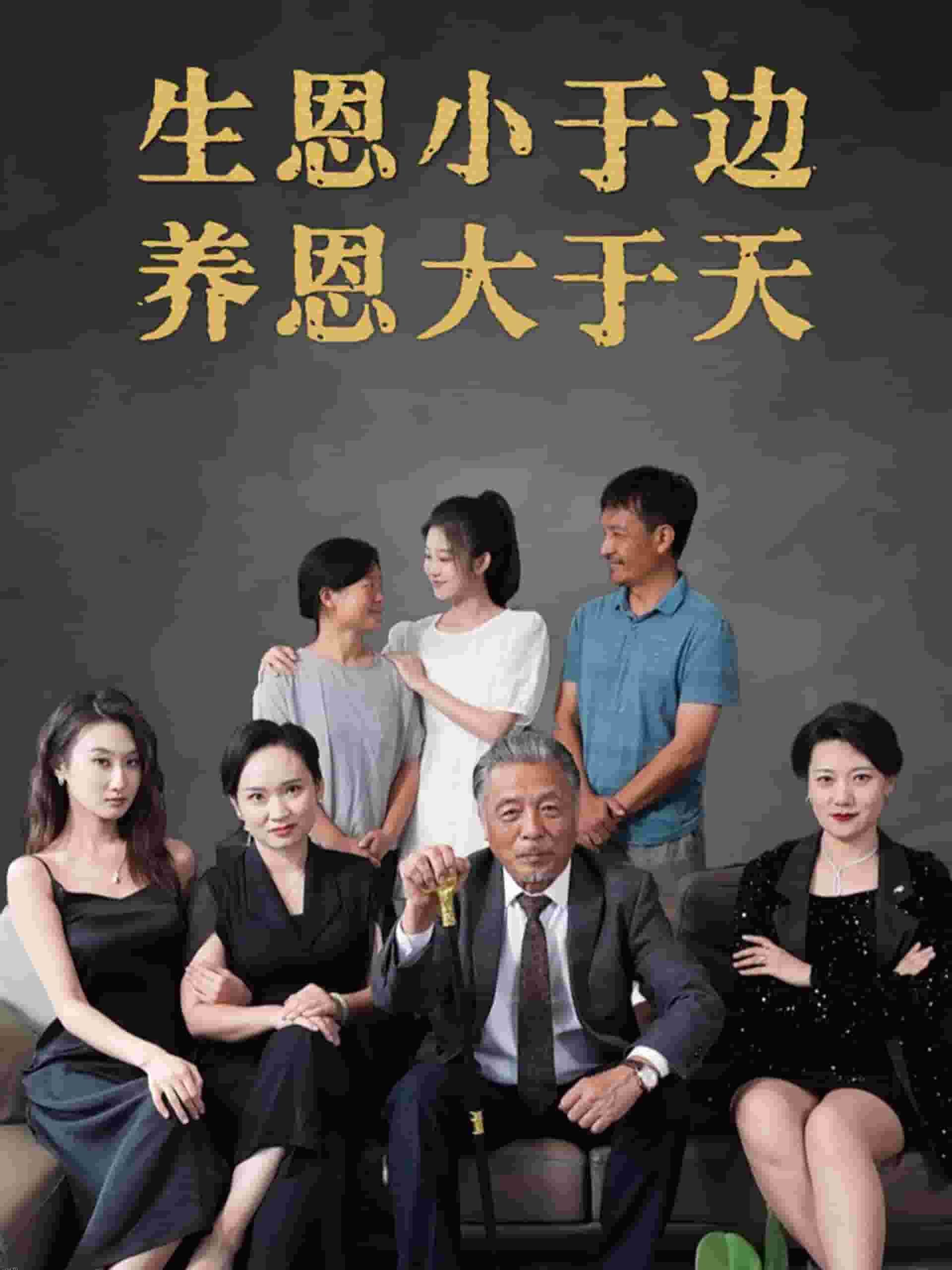 生恩小于边养恩大于天 海报
