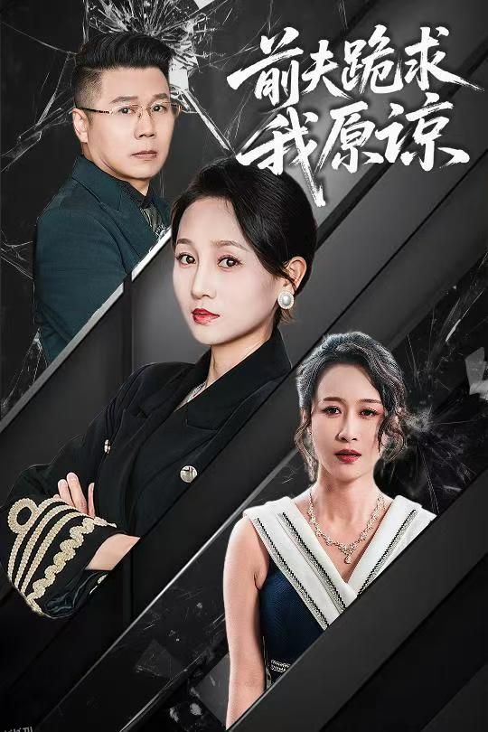 前夫跪求我原谅 海报