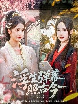 浮生弹幕照古今 海报