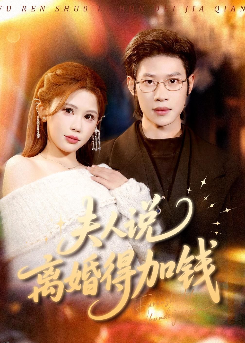 夫人说离婚得加钱 海报