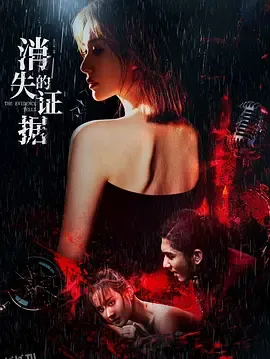 消失的证据 海报