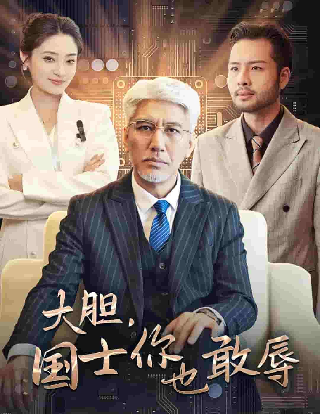 大胆国士你也敢辱 海报