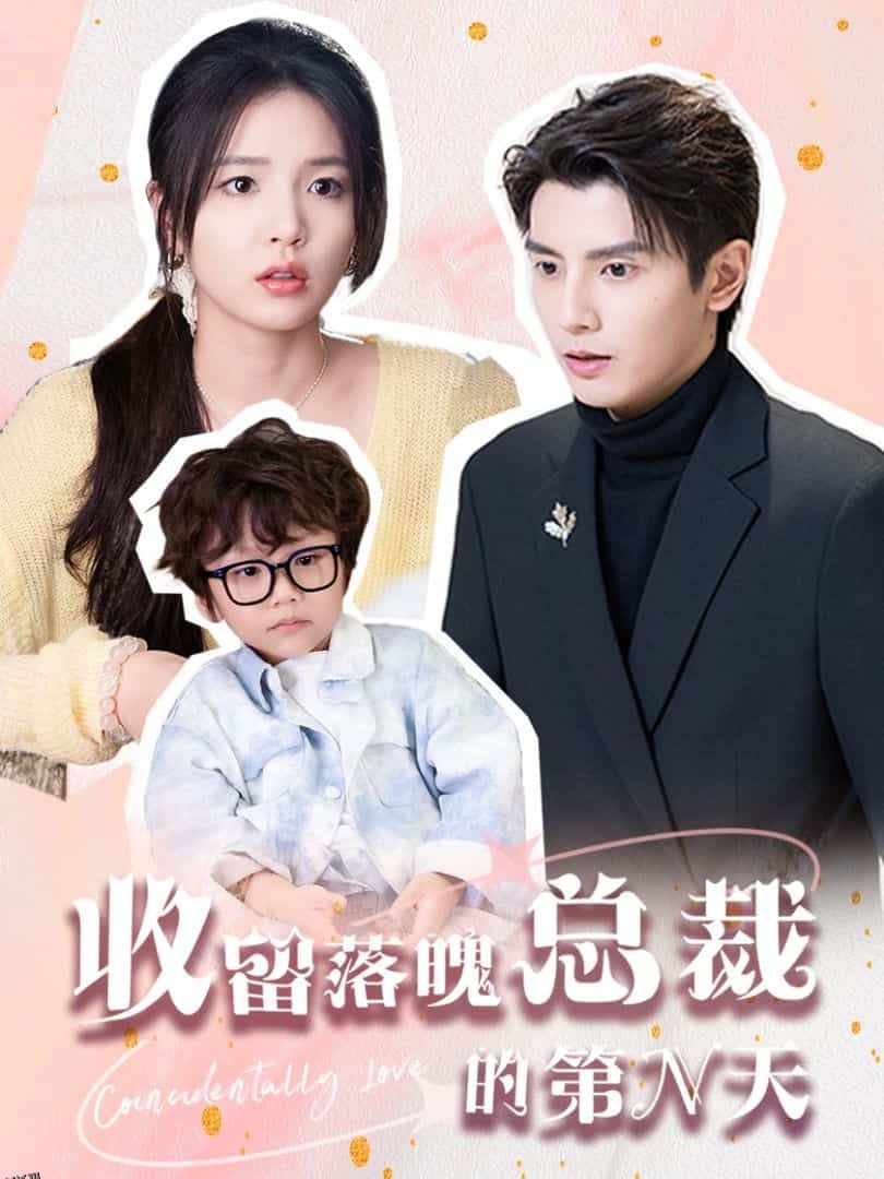 收留落魄总裁的第N天 海报