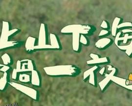 上山下海过一夜 海报