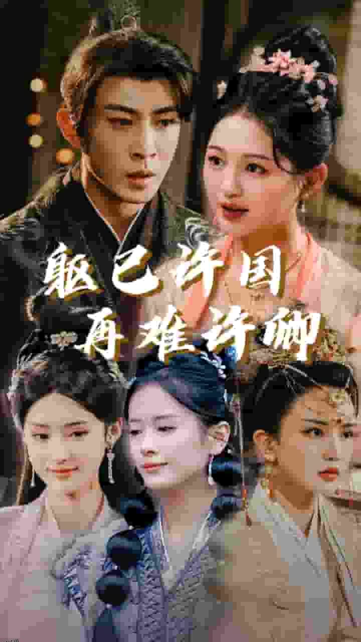 躯已许国再难许卿 高清海报