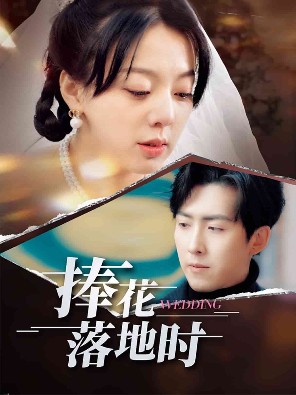 捧花落地时 海报