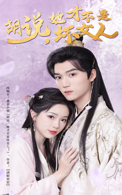 胡说她才不是坏女人 海报