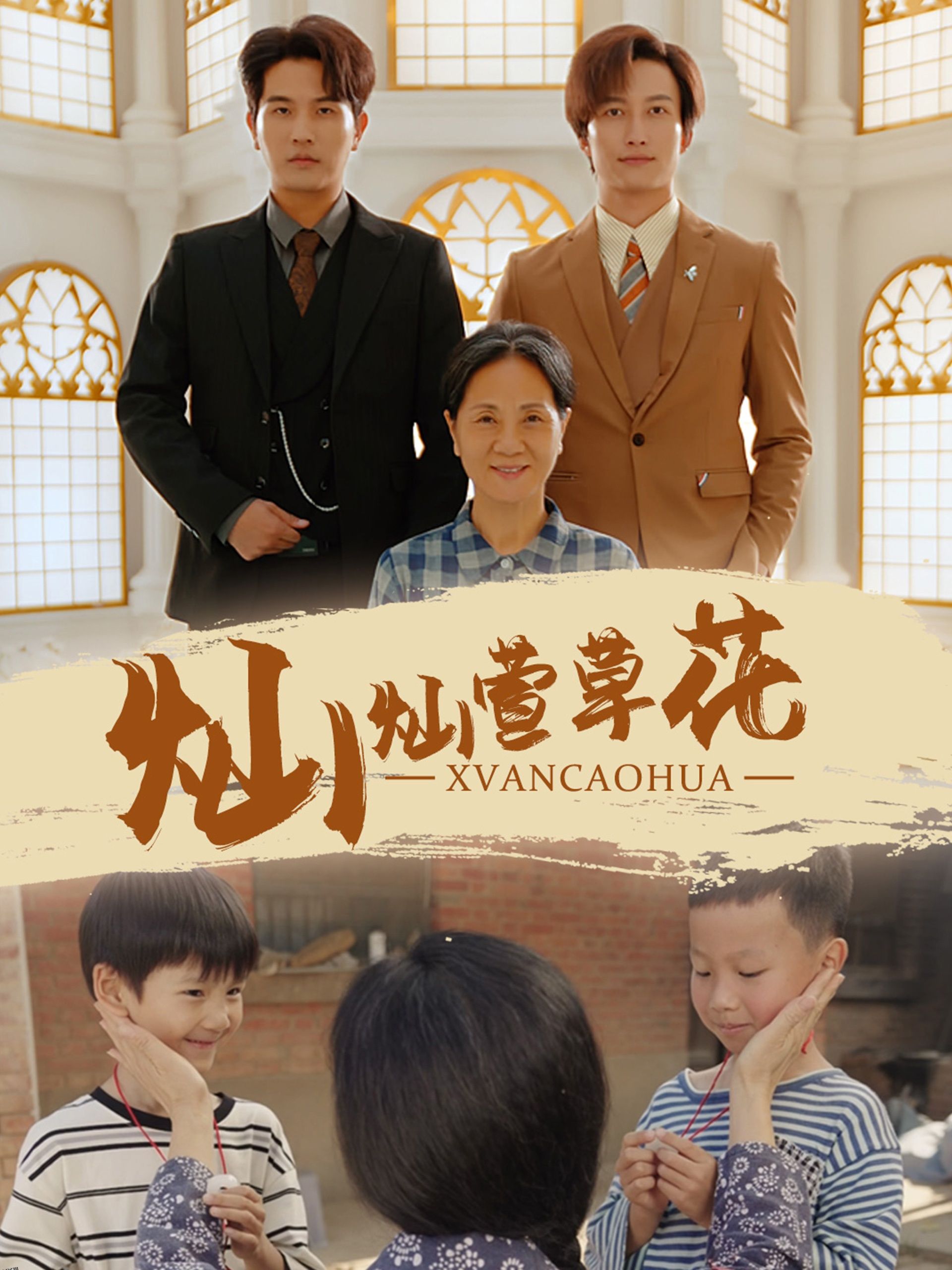 灿灿萱草花 海报