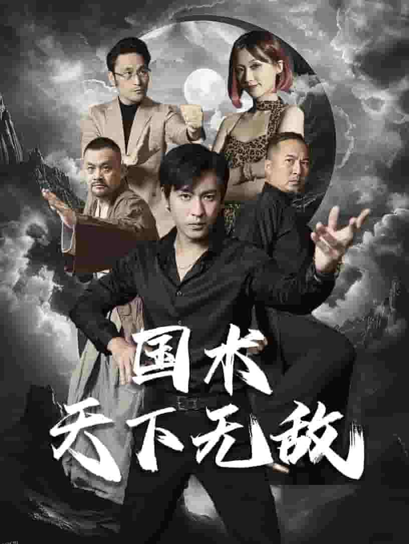 国术天下无敌 高清海报
