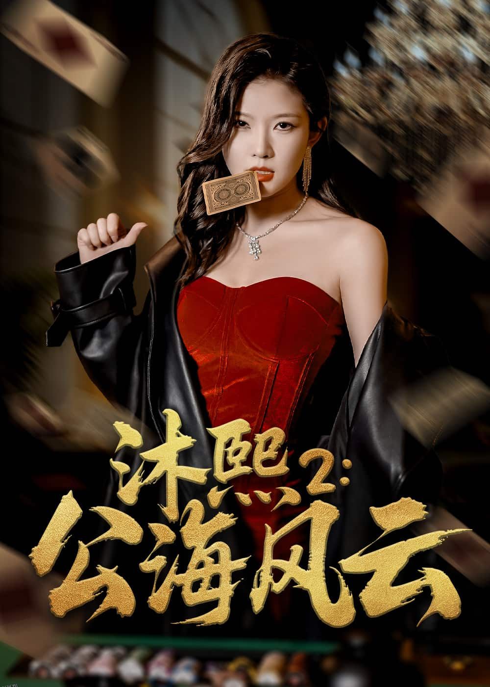 沐熙2公海风云 海报