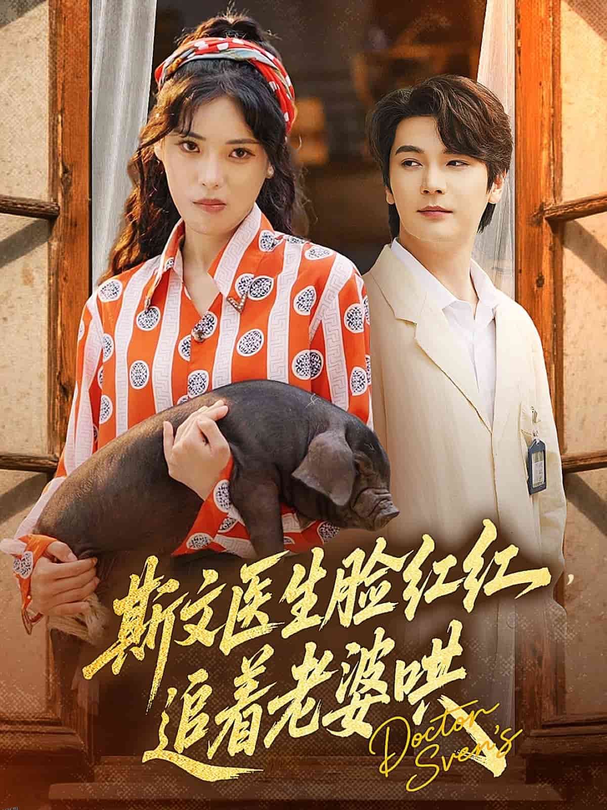 斯文医生脸红红追着老婆哄 海报