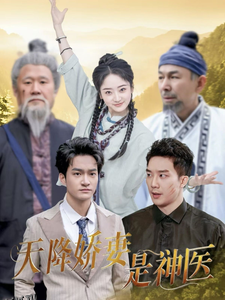 天降娇妻是神医 海报