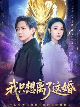 我只想离了这婚 海报