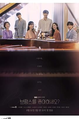 你喜欢勃拉姆斯吗 海报