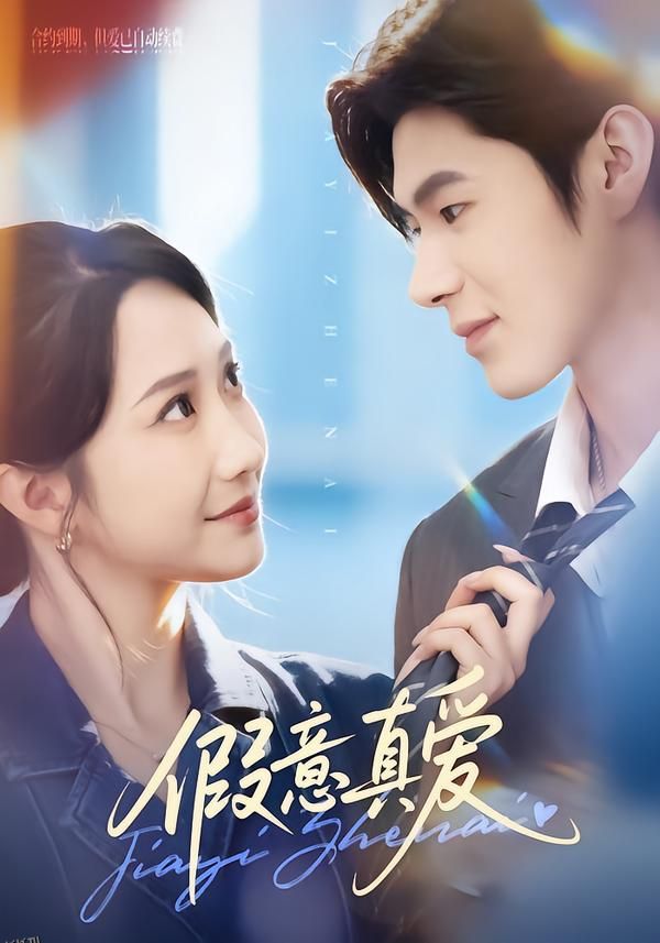 假意真爱 海报
